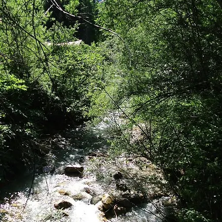Beim Laisi